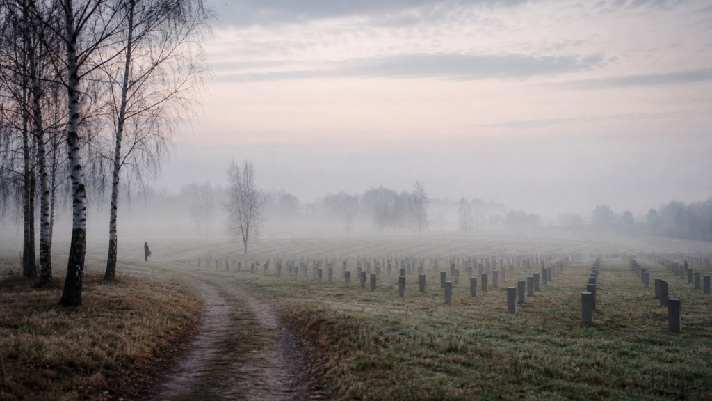 Ein weitläufiger Ehrenfriedhof liegt im Morgennebel zwischen kahlen Birken [Bildinhalt mit KI erstellt]